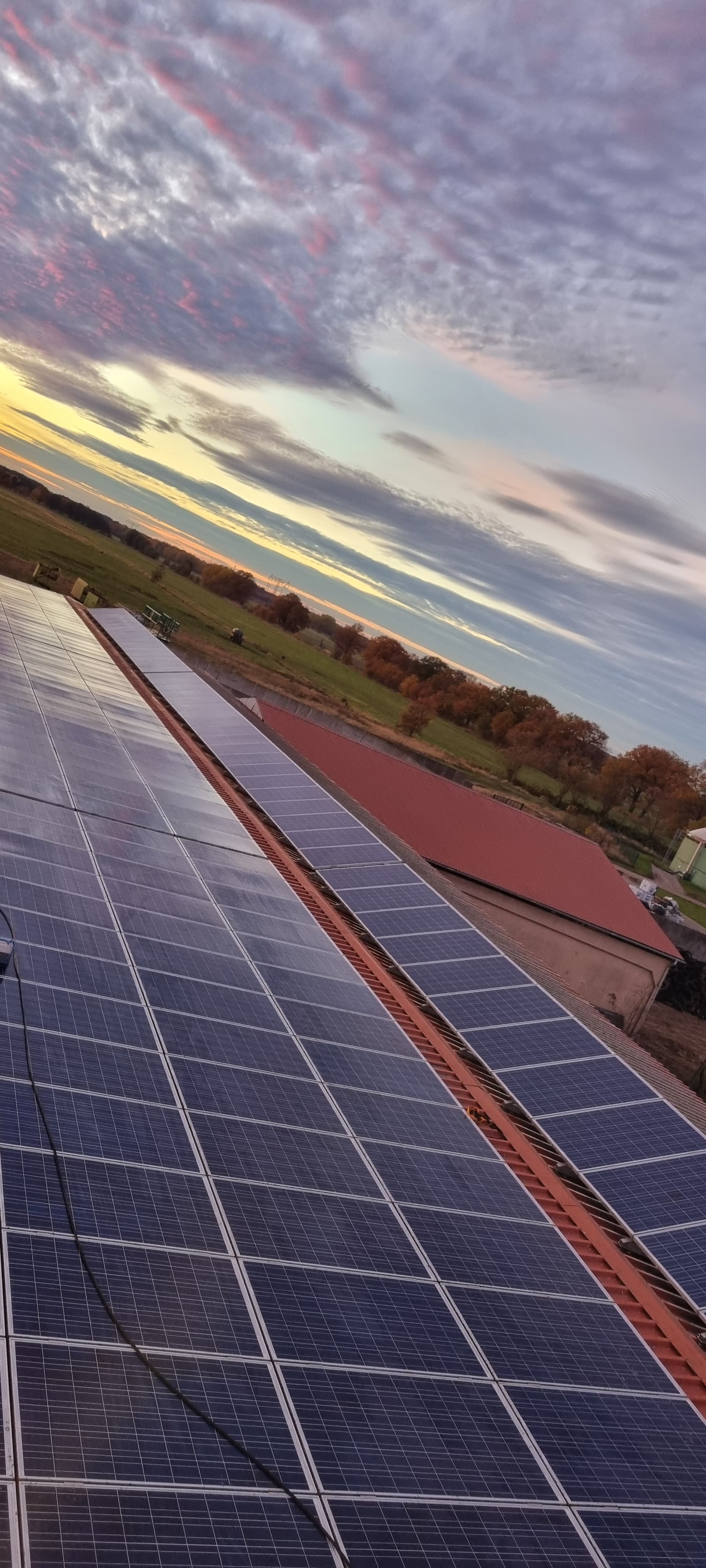 Reinigung in Greifswald - nachher